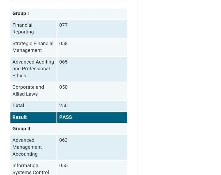 tips-by-ca-final-ranker-on-how-to-prepare-for-ca-final