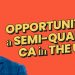 Opportunities for semi qualified CAs in the UAE