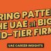 Hiring Patterns of Big 4 and Mid-tier Firms in the UAE
